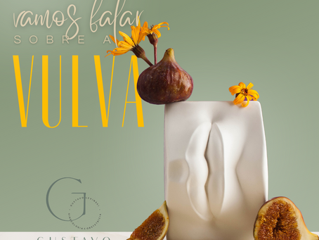 Vamos falar sobre a vulva