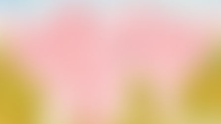 Week beginning 22nd September