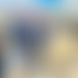 ANDY HERDS SHEEP IN THE CITY!