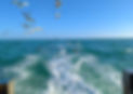 SEA.jpg