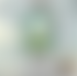 Mémoires de la forêt - La saison des adieux