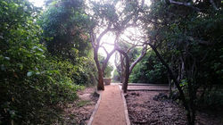 මෙ වර ත්‍රිපිටක අට්ඨකථා ධර්ම පූජව