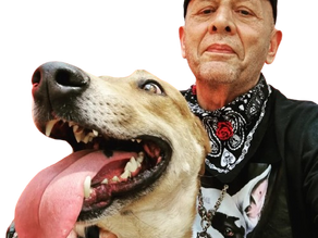 Red Dog Walker é o apelido de Fernando Lopes,o Adestrador de Cães mais Conhecido e Requisitado no Brasil!