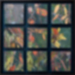 NineMomentsOfLight_1200x1200