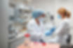 female blood test laboratory.jpg