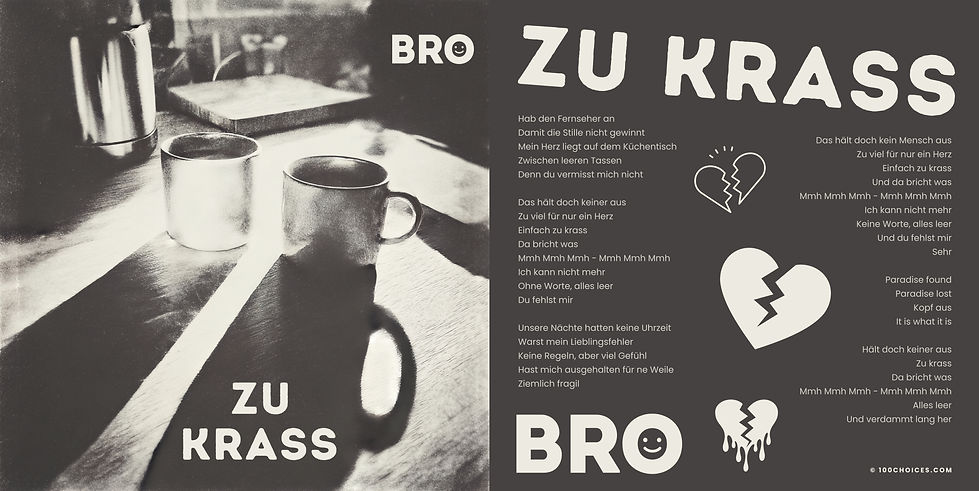 Zu krass - Cover 2 1.jpg