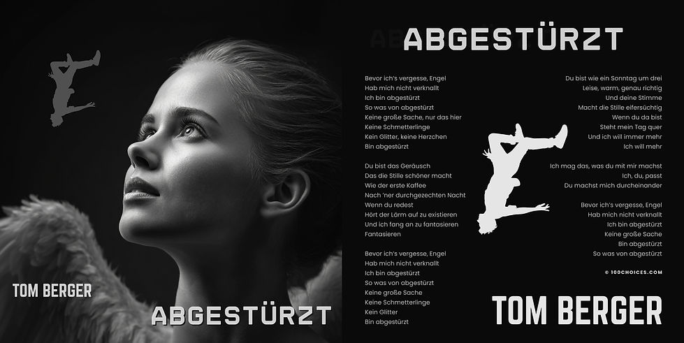 Abgestürzt - Cover 2 1.jpg