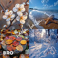 Haiku - Cover - blue.jpg