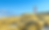 sylt-ellenbogen_ausschnitt.png