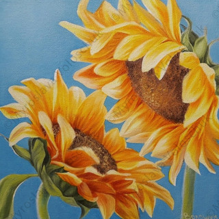 Two Sunflowers.jpg