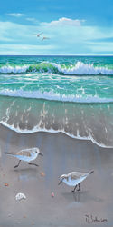 BeachBirds-lr.jpg