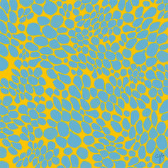 Yellow and Blue-lr.jpg