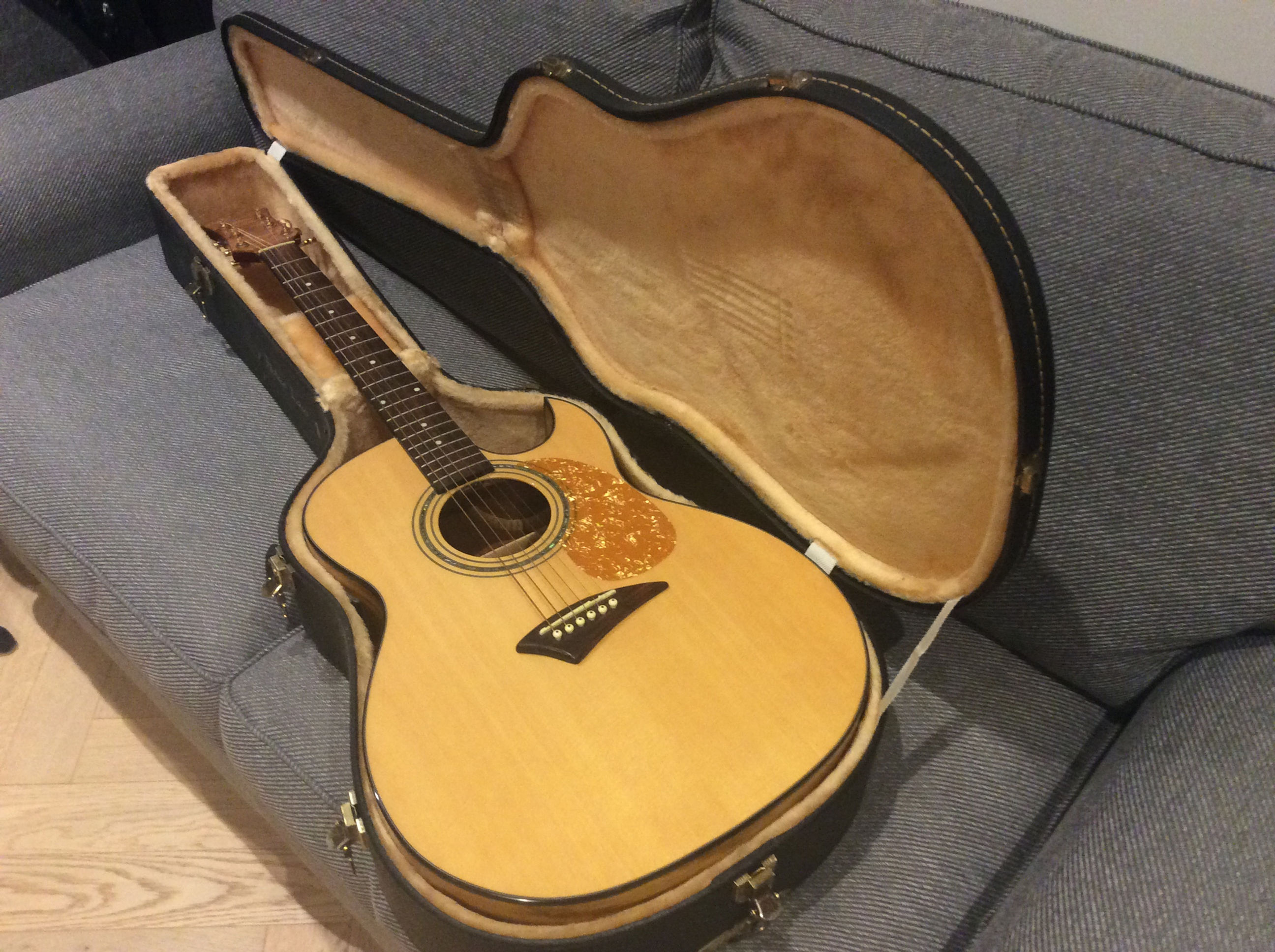 Dean Electro Acoustic Guitar AK48F GN