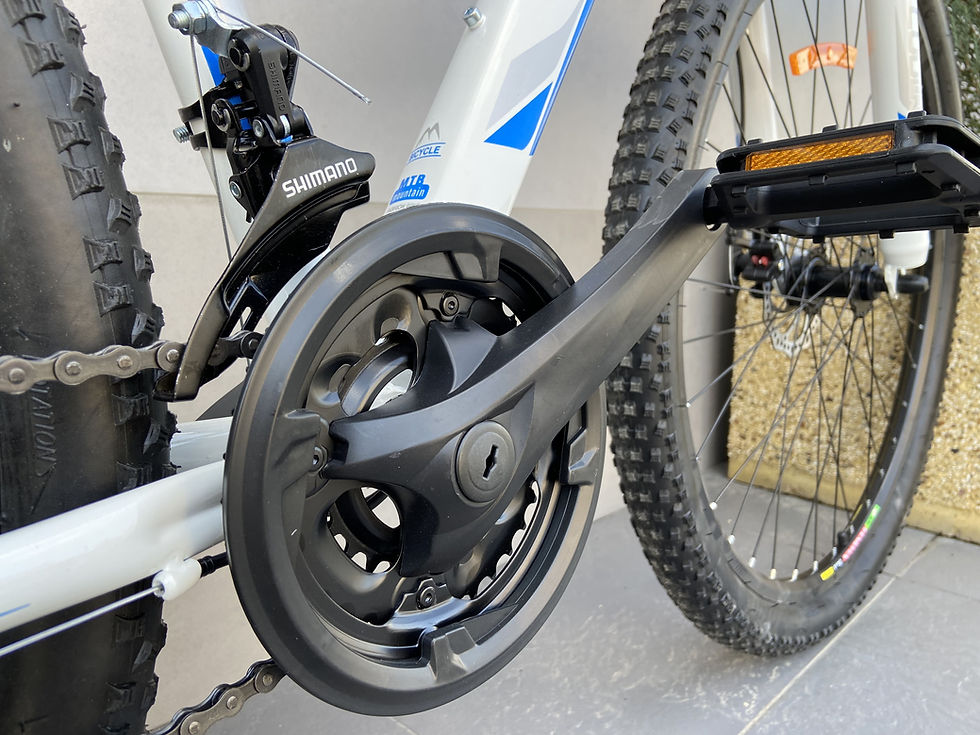 Миниатюра: MTB 36-29 WHITE-BLUE