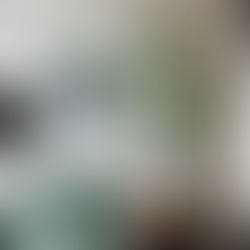 Interior de una sala de estar con un sofá verde, flores en la habitación, televisión, altavoz y cortinas, acompañado de un cuadro de un marinero con un bote en la pared.