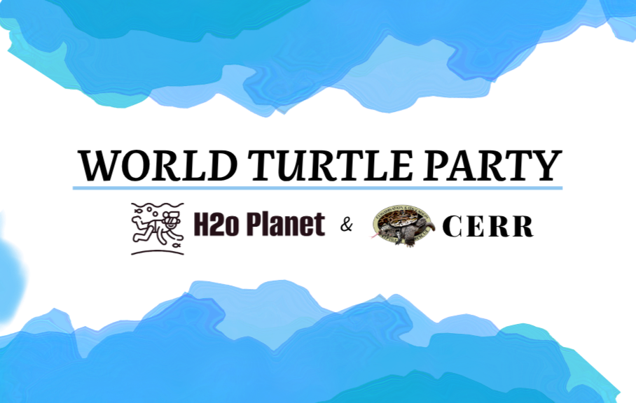 World Turtle Party