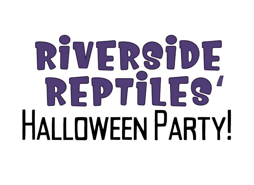 RREC's Halloween Party