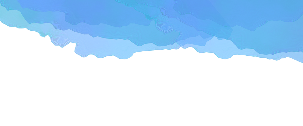 World Turtle Party (2).png