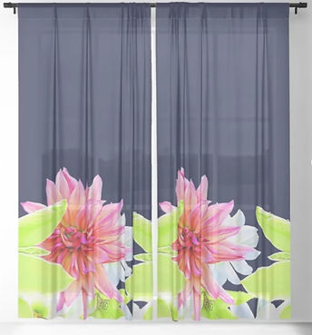 Poppy Pod Contemporary Botanical Artwork