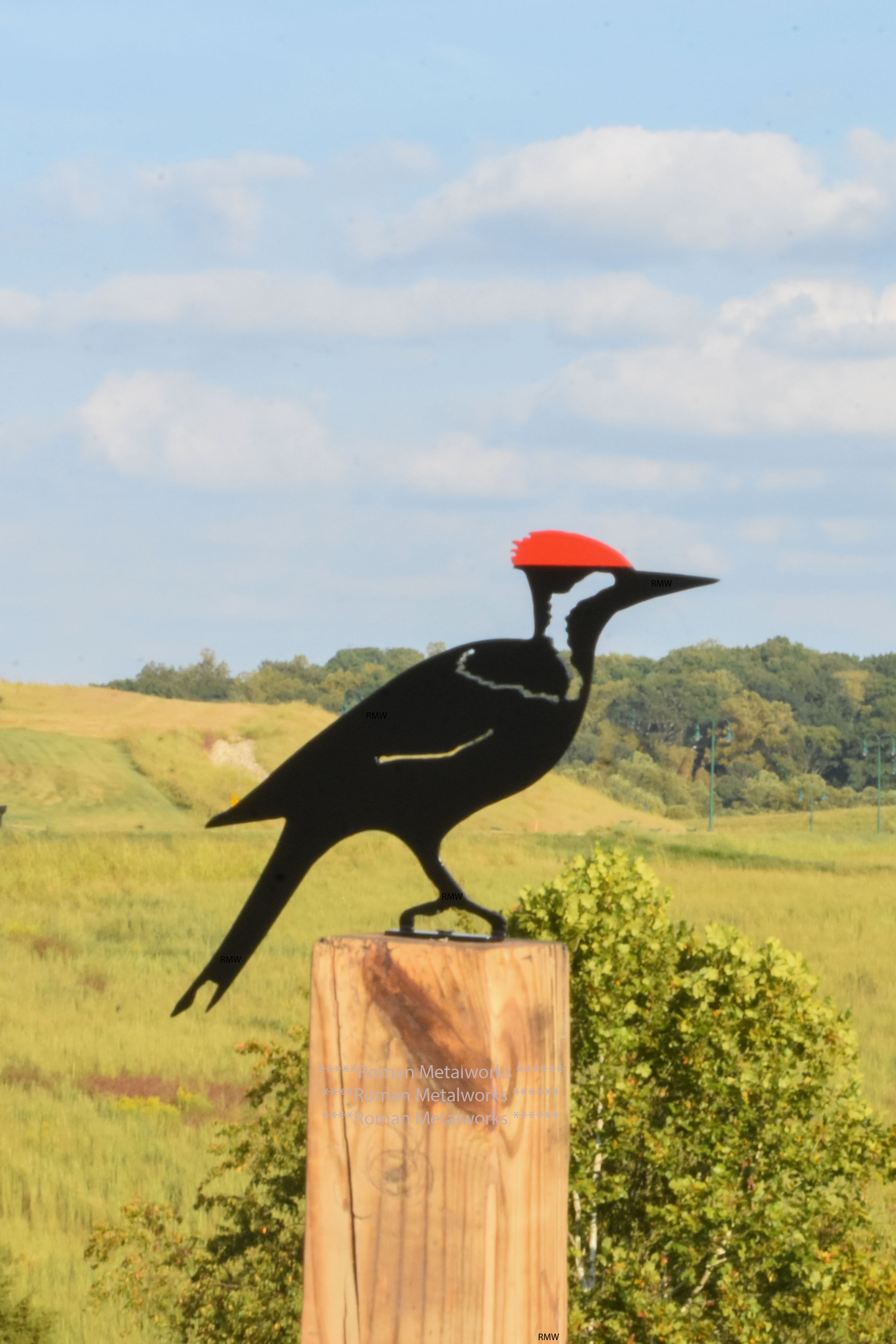 Pileated Woodpecker Metal Bird Garden Art - Style 5 - Roman Metalworks Design