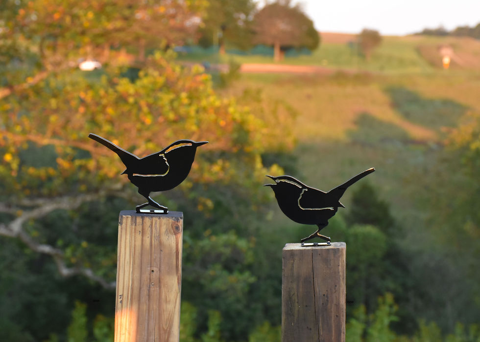Thumbnail: Carolina Wren Pair Metal Garden Yard Art 