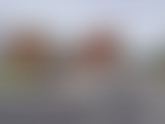 Matthews welcomes progress on Greystones Community College