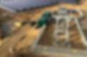 Pannesl and Plant.jpg