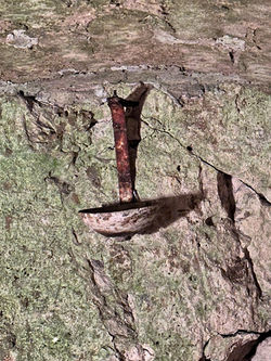 Cité souterraine de Naours 7 - porte-bougie