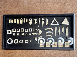 PP - 6 b cabinet de curiosités