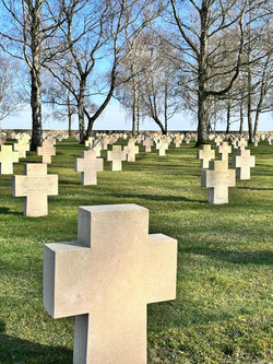8h. Cimetière allemand de Bourdon - Les croix parmi les bouleaux