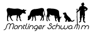montlinger-schwamm-1.png