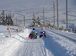 Schlitteln_Stoos.png