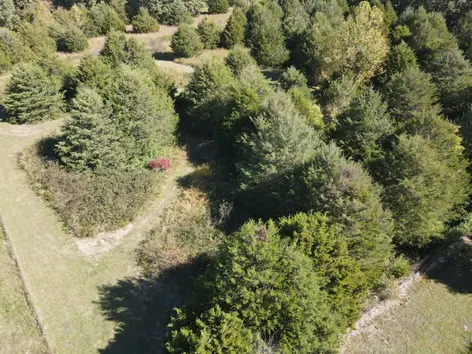 Land and brush clearing project on a rural property near Neosho Missouri