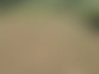 Aerial view of a cleared rural field bordered by green pasture and trees near Joplin Missouri