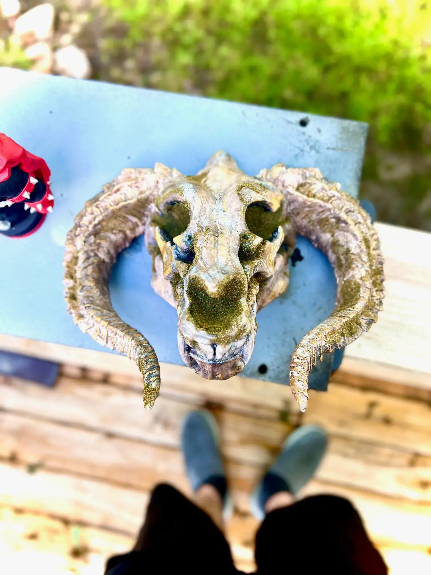 Top view of gold dragon skull with curled horns and mossy paint finish – fantasy wall decor