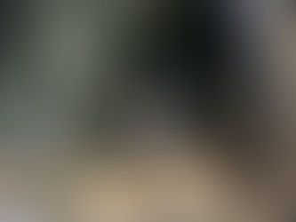 Loc nhot K&N-204 Chinh Hang cho dong xe hang Honda, Yamaha