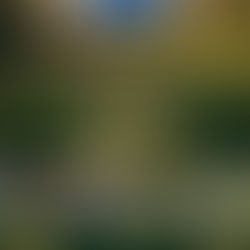 2026 Ank School Holiday Winter Camp 