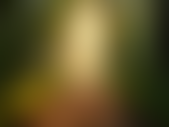 Exploring the Everyday Life of a Psychic Medium and the Science Behind Spirit Communication