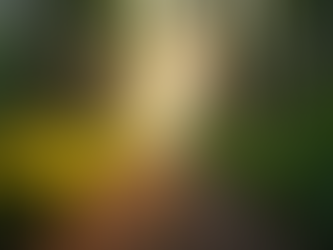 Exploring the Benefits of Spiritual Guidance