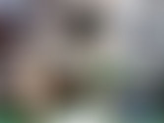 Hotel para Gatos Neko Ryokan