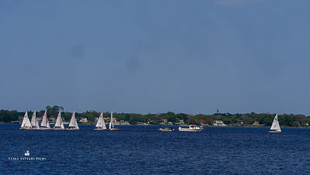 P1200033.jpg