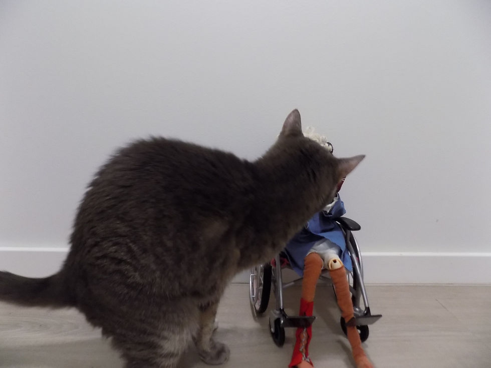 The cat is now next to Sulla. Her face is hidden by the tabby's head as he sniffs her.