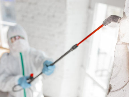How to Prevent Mold Growth in your AC?