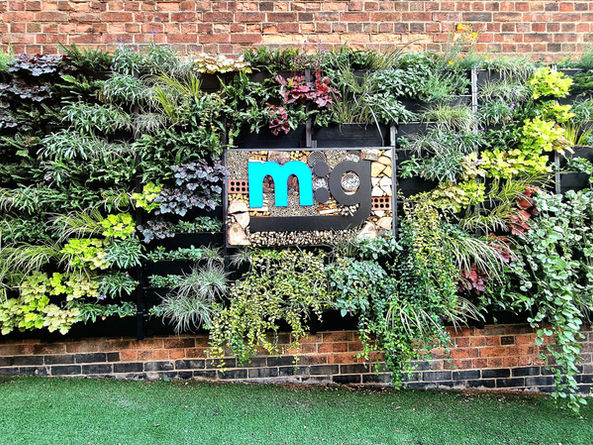 Green Wall Update!
