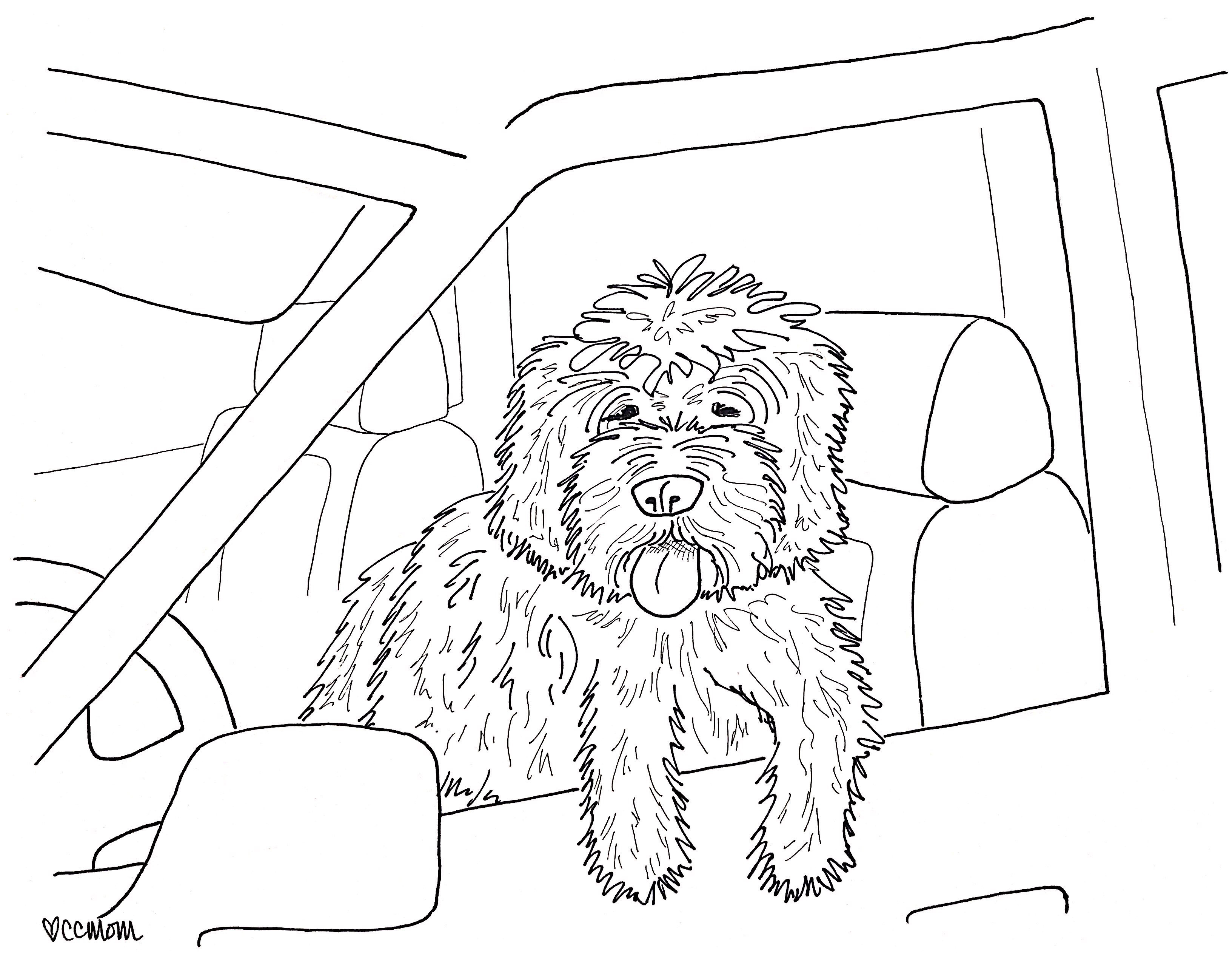 Dog is My Co-Pilot
