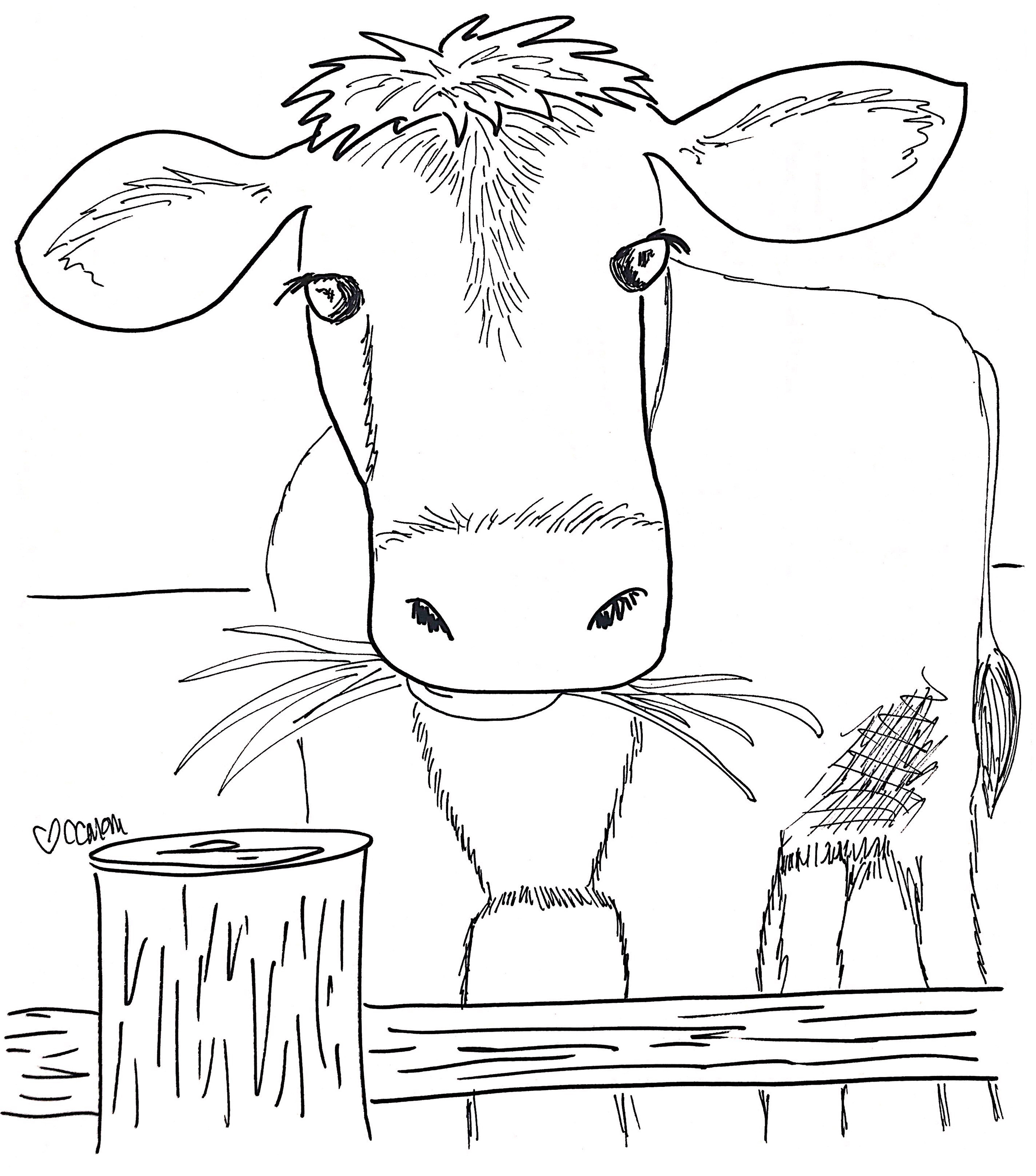 Grazing Cow