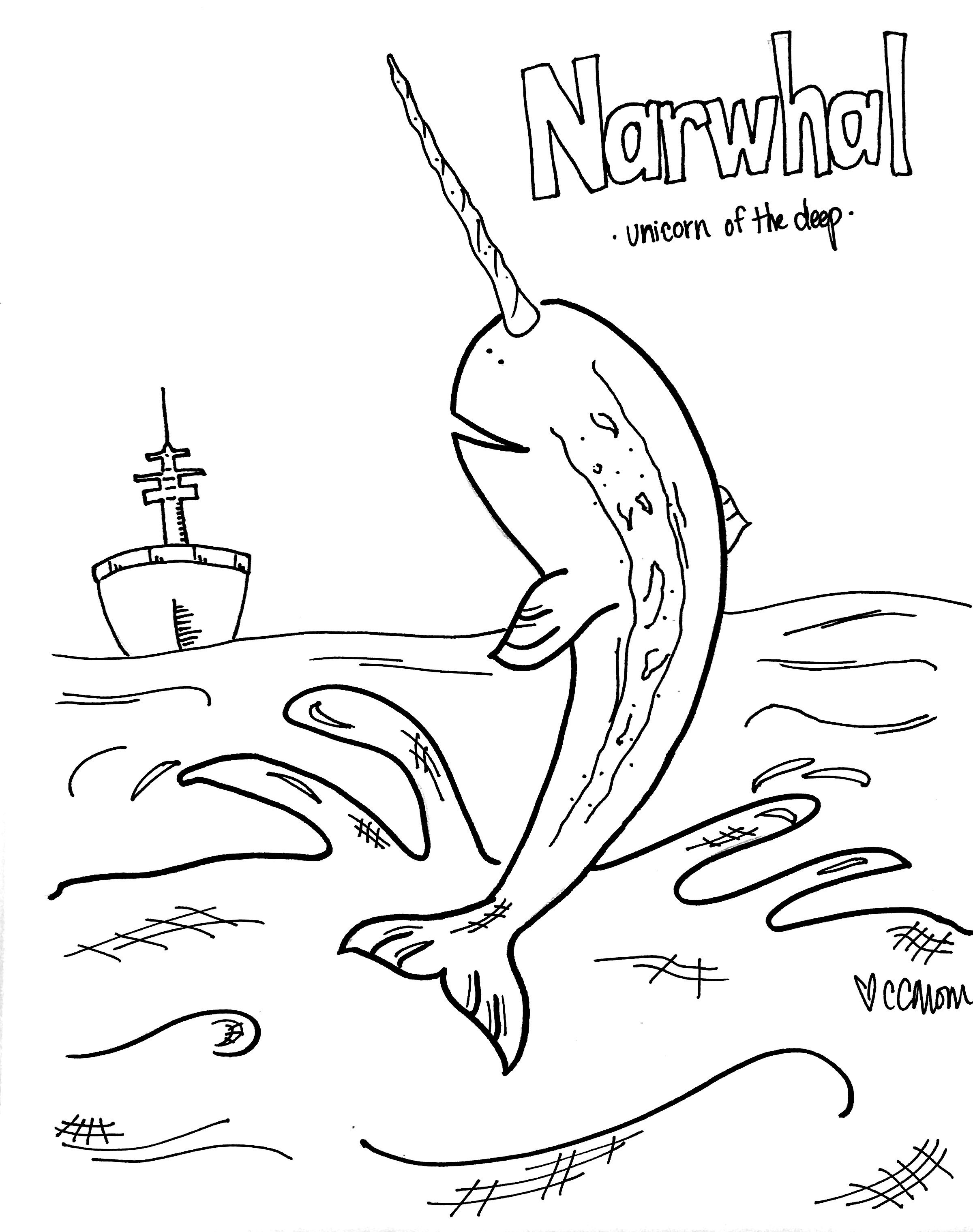 Narwhal
