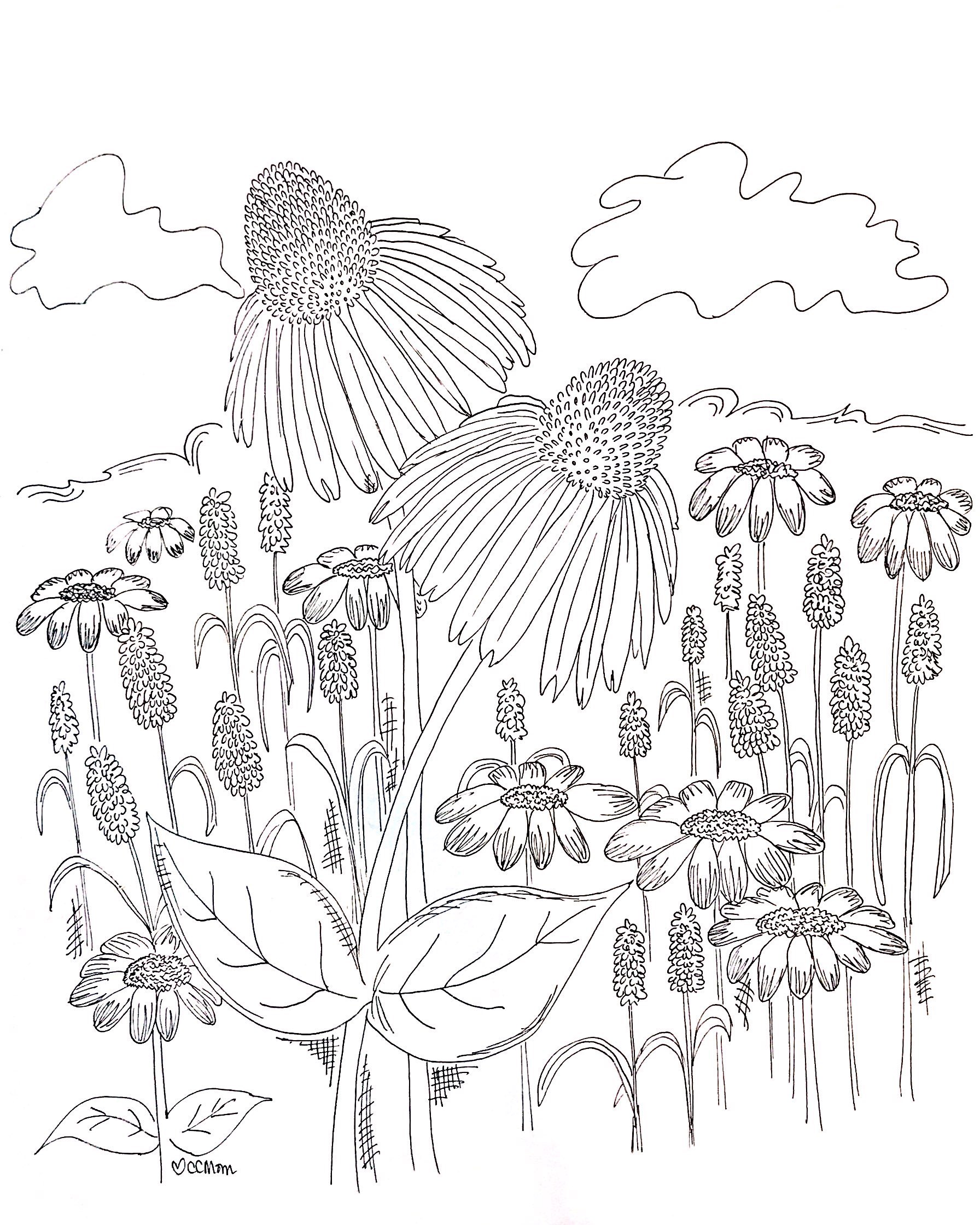 Wildflowers