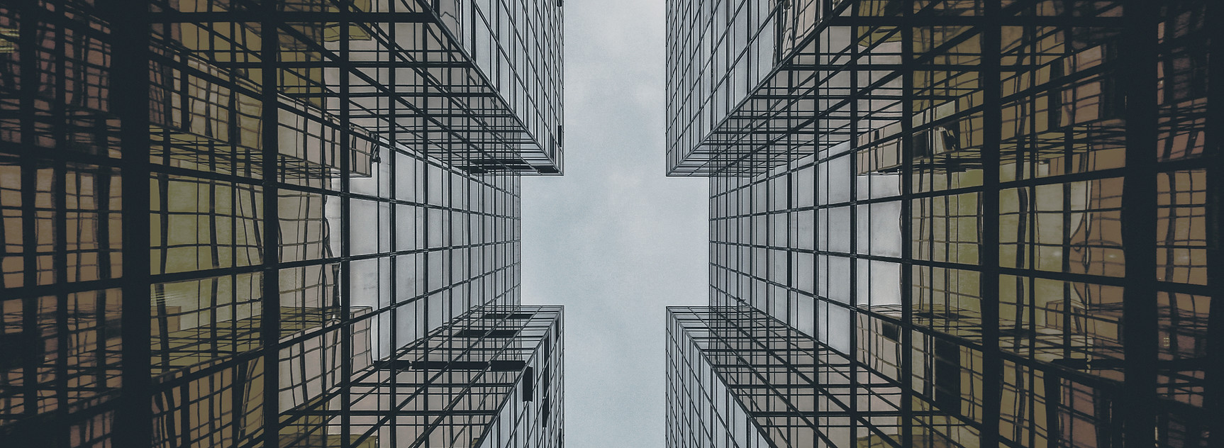yiranding-yOWUAKYk46Y-unsplash%2520copy_