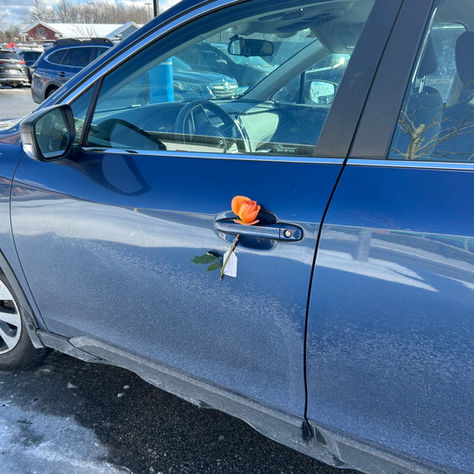 rose on car door handle